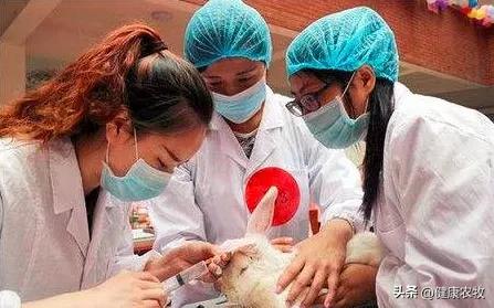 大学想报兽医专业新高考怎么选科,新高考文科可以学兽医专业吗