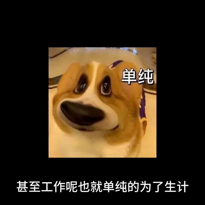 追女生不要太在乎对方,女生对感情很冷淡怎么追