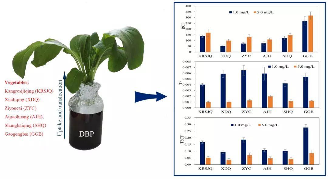 我们每天吃的东西里都有塑料,我们每天都在吃塑料吗