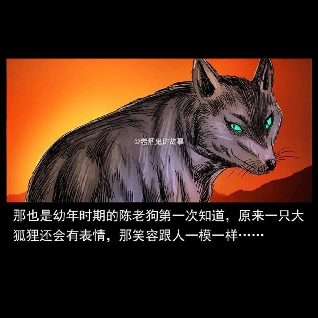 dou+小助手抖音官方账号,dou+小助手设置