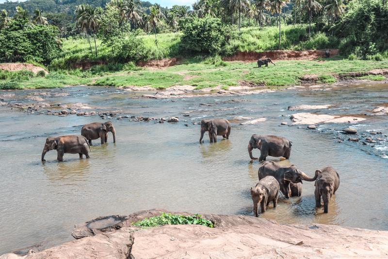 斯里兰卡旅游攻略必去景点,斯里兰卡旅游攻略最佳时间