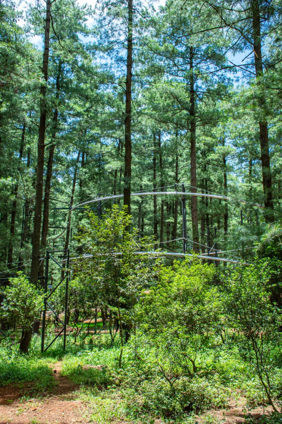 昆明松鹿部落风景区现在收门票吗,昆明松鹿部落景区
