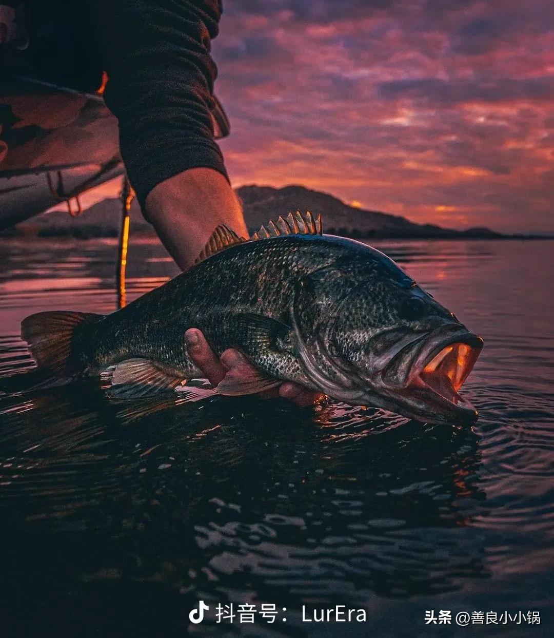 新手路亚知识讲解,路亚饵避坑系列大全