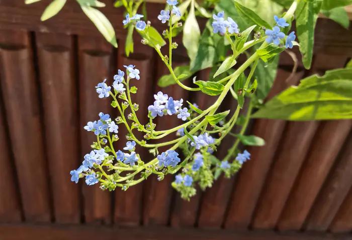 小普陀|苏溪的抉择是等待