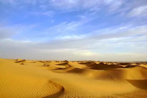 我想我是一匹迷路的骆驼