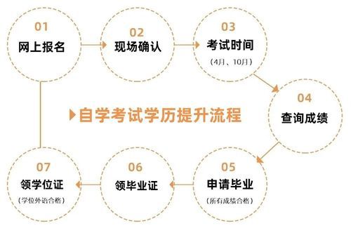 解析自考流程，如何顺利完成自考本科学业？