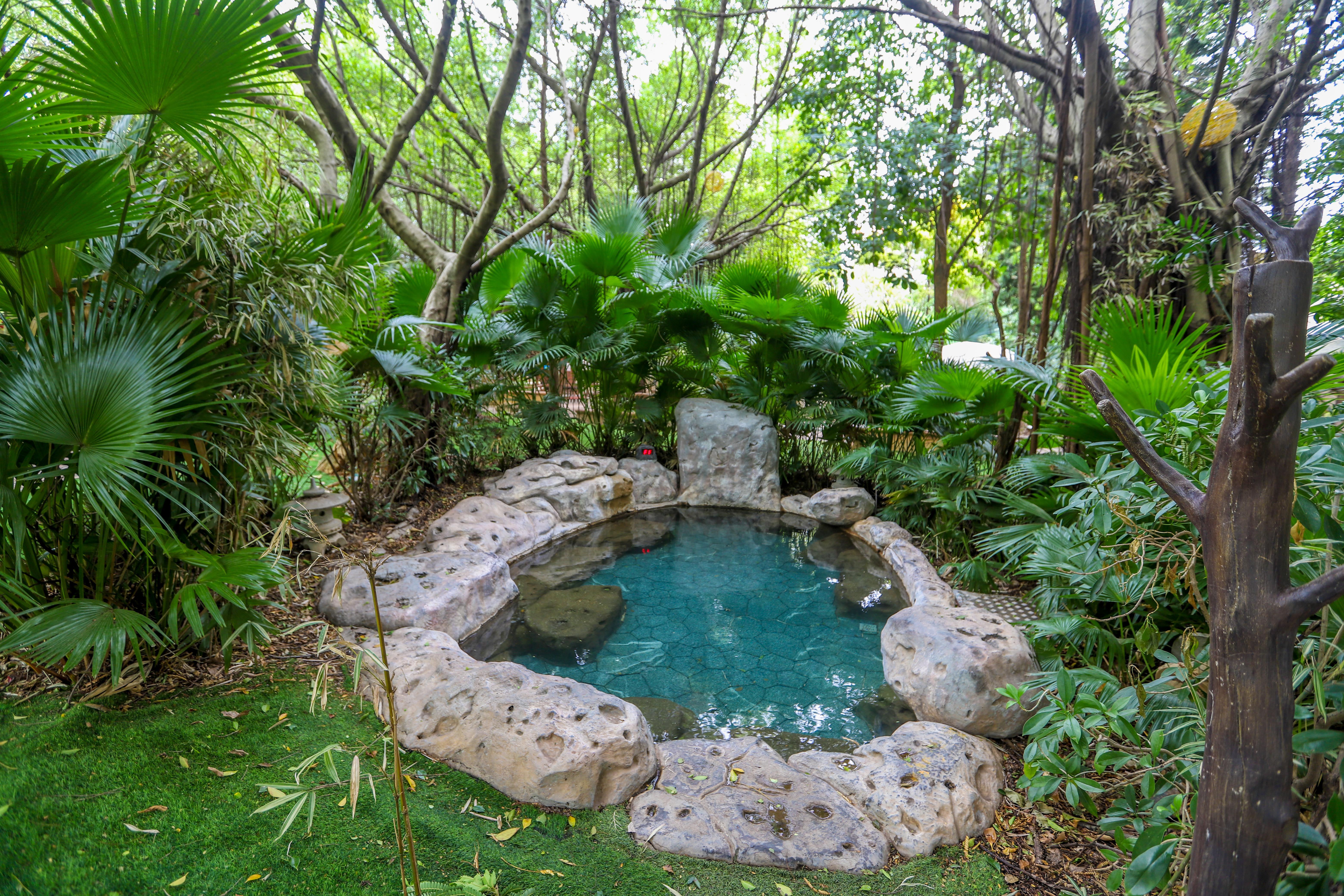 河源的真温泉在什么地址,河源温泉最多的镇