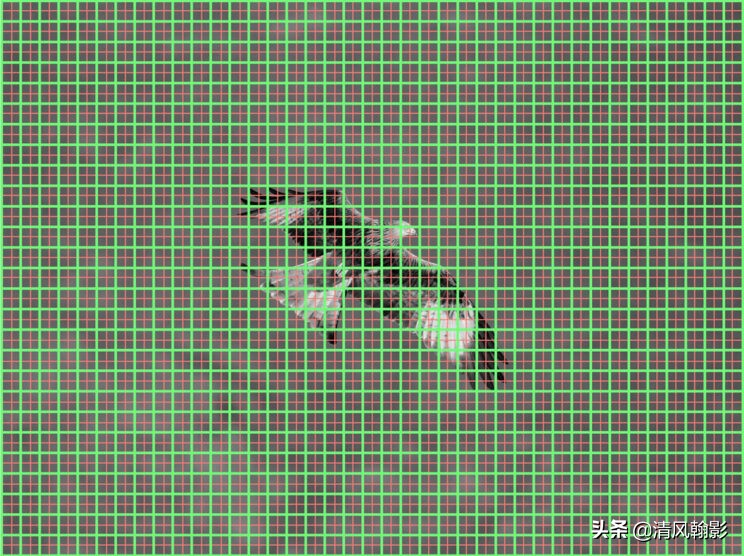 拍鸟用什么镜头性价比最高,拍鸟买r5还是r6好