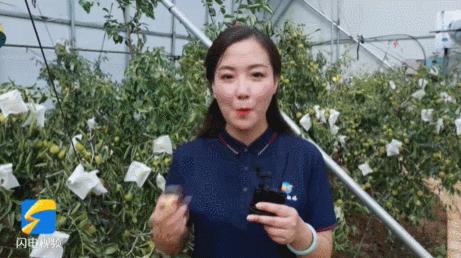 疯狂连更！山东这场持续两个月的直播，观看量超3.7亿