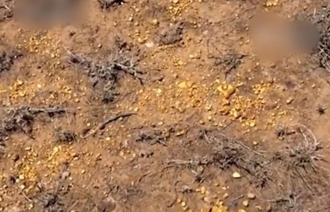 小宋计划辞掉工作、卖掉房子，去山东莱州捡黄金，可年赚300万！