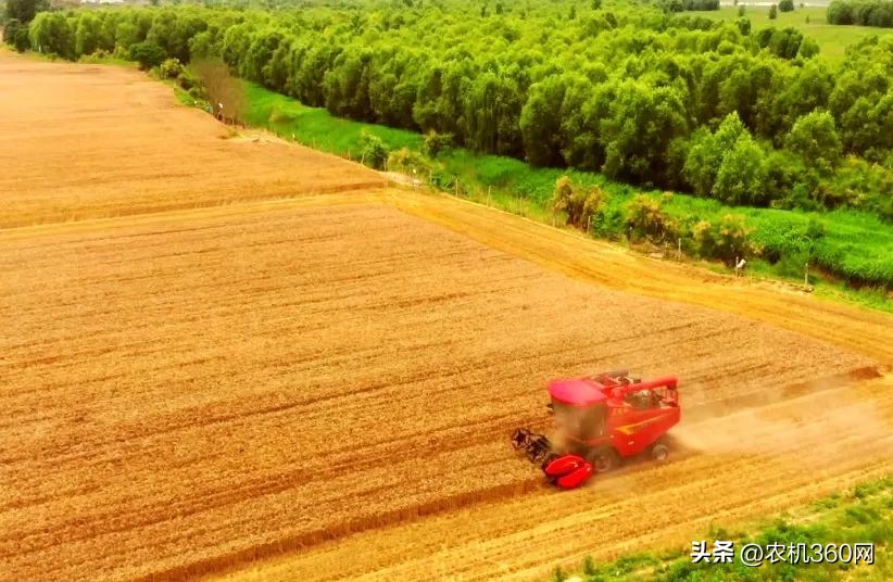 东方红收割机2023款实操,东方红2024款小众收割机