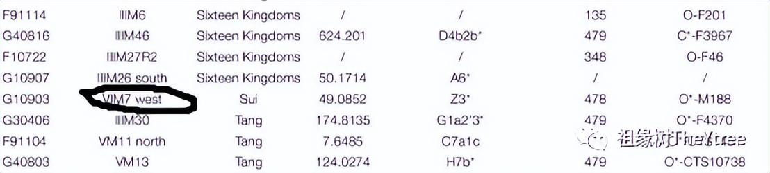 谁把别人家的祖坟挖出来了,祖坟被谁挖了