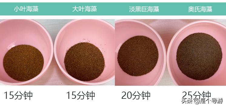 海藻面膜和一般面膜哪个效果好,海藻面膜功效还不错吧