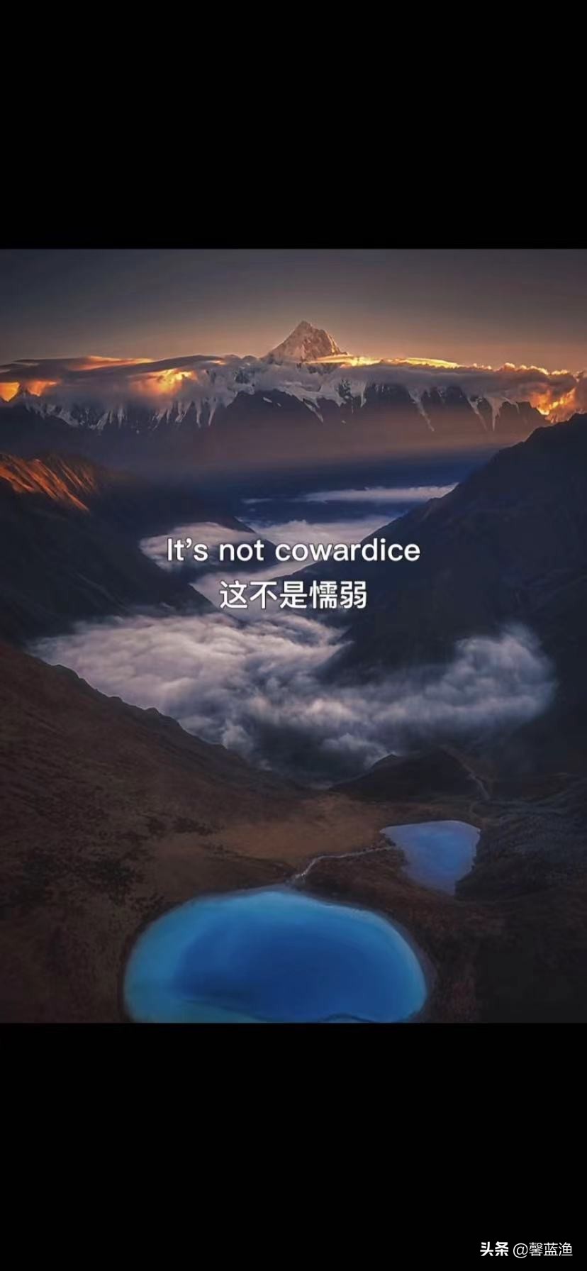 喜欢的视频没保存找不到了,喜欢的视频不能保存然后转发