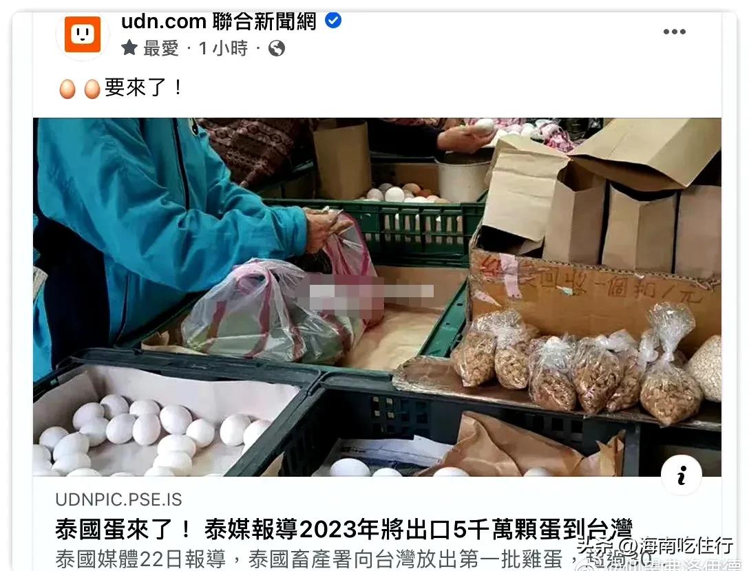 台湾排队购买鸡蛋,台湾人排队买鸡蛋