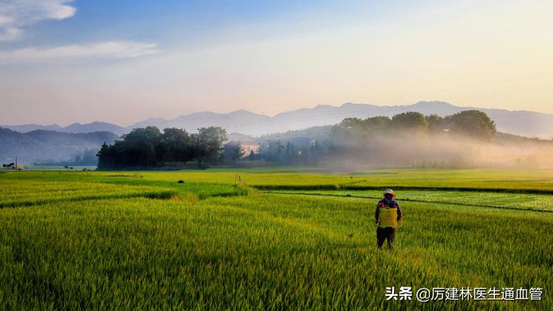 “除虫”十分有效的宝塔糖，为什么突然就消失了？