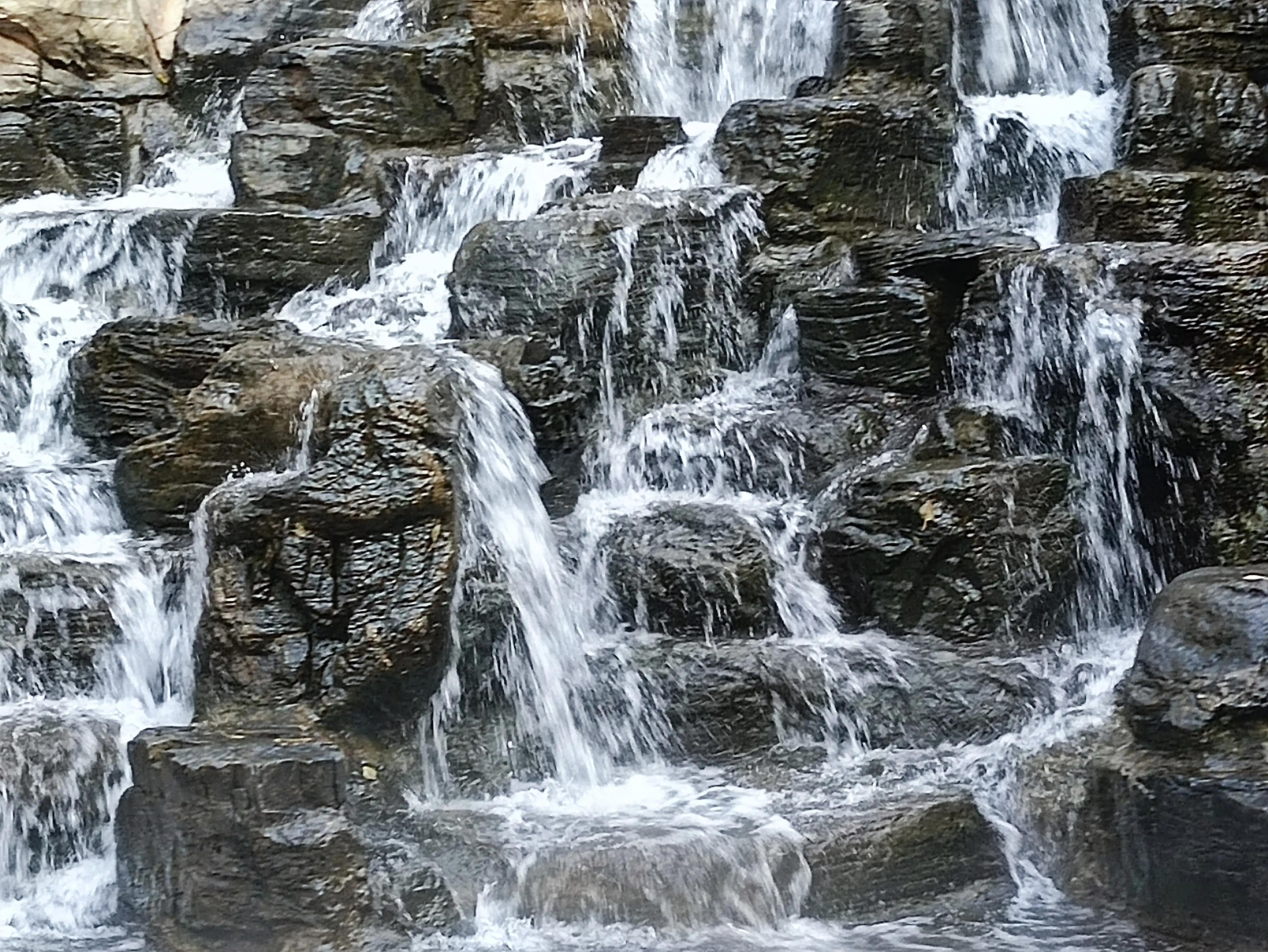 北京动物园和北京野生动物园区别,北京野生动物园狗妈妈和老虎狮子