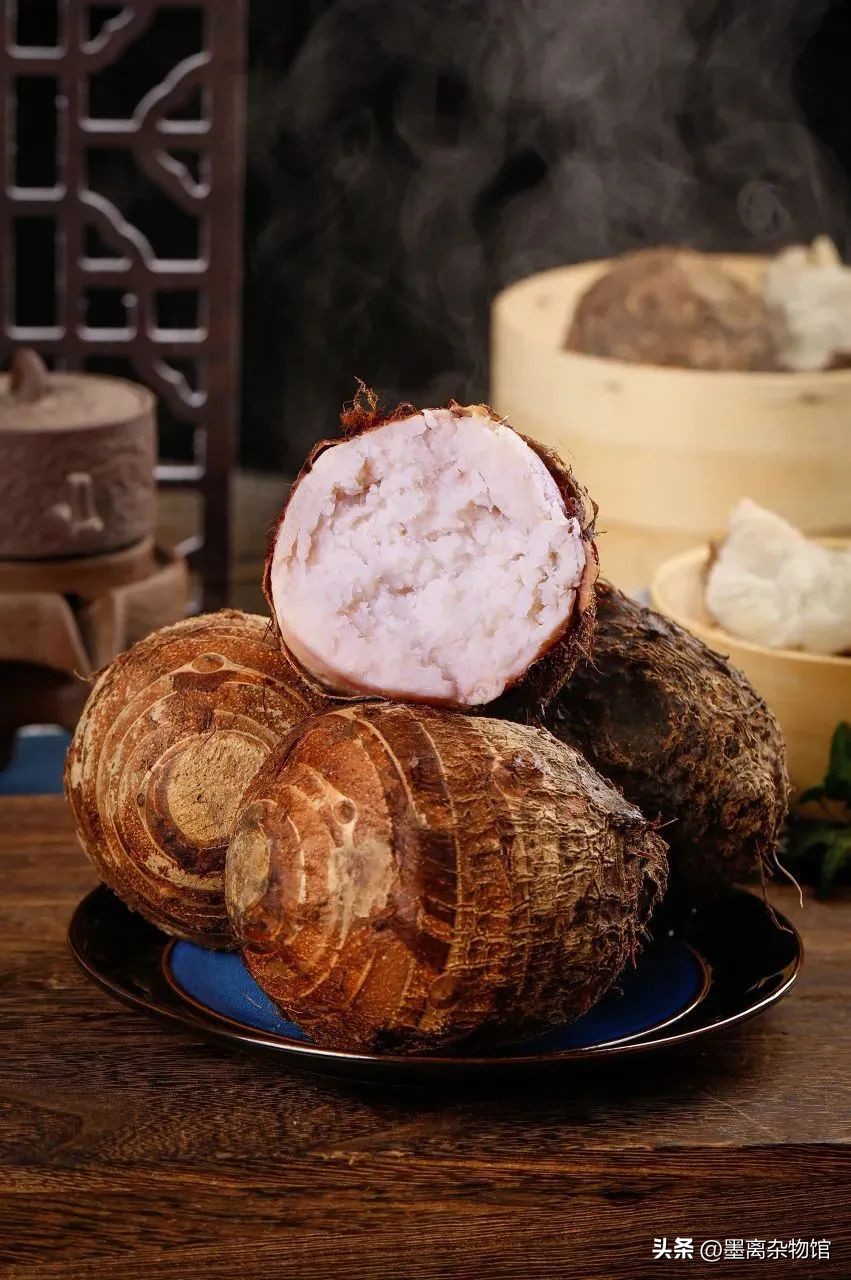 有一种植物浑身都是刺,形似芋头的有毒植物