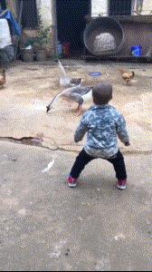 有没有结婚找不到伴娘的尴尬,实在找不到伴娘