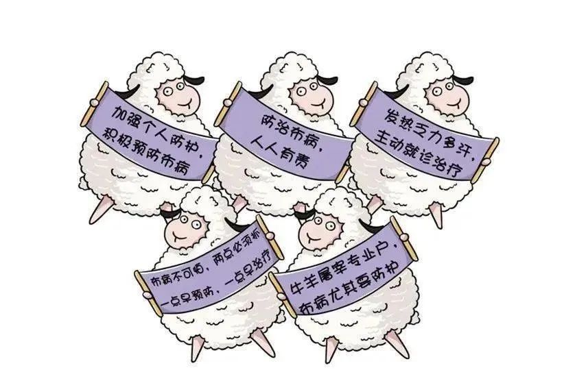 布病急发病期,布病流行季节