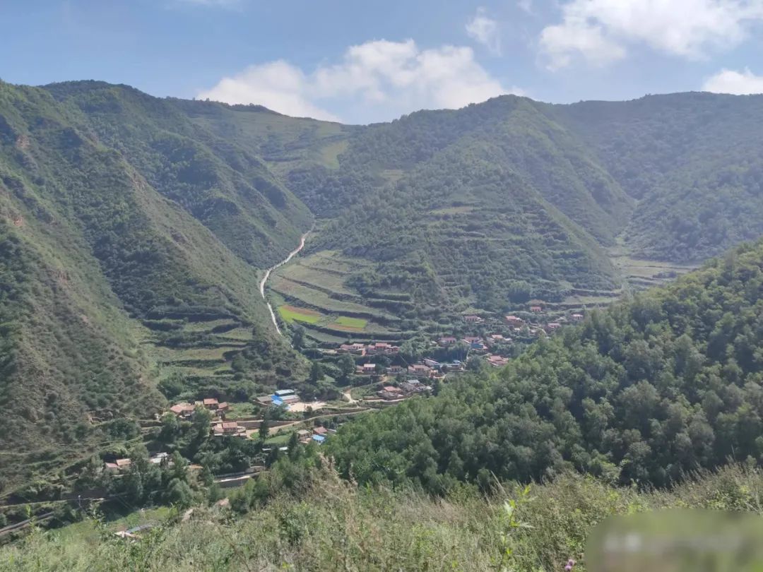 我们这十年原视频,我们这十年东乡