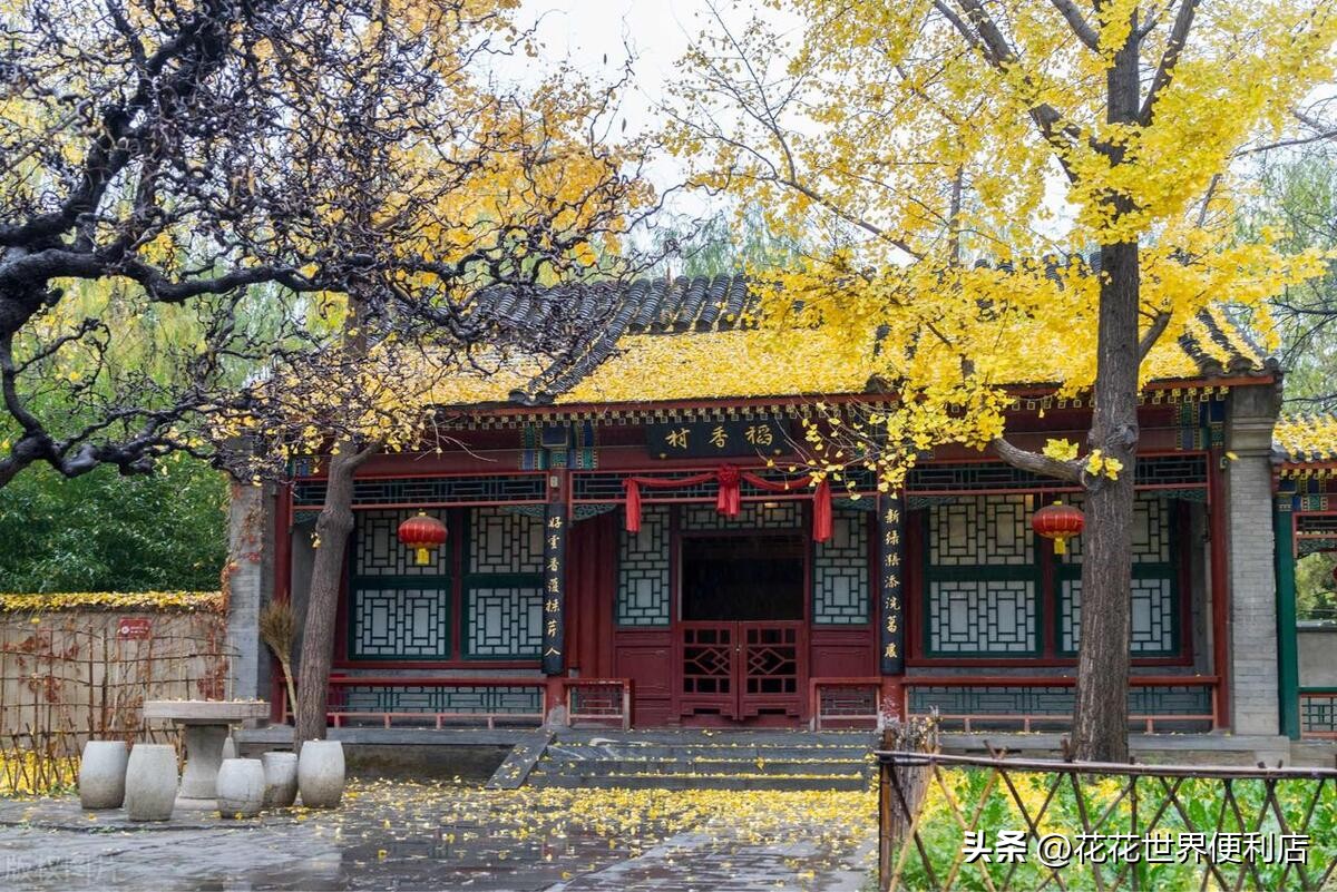 青浦城区和青浦新城板块有啥区别,上海五大新城青浦前景最好