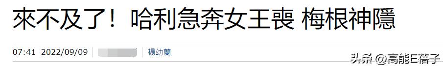 意难忘大结局丽珠离开,意难忘丽珠跟麦克的结局