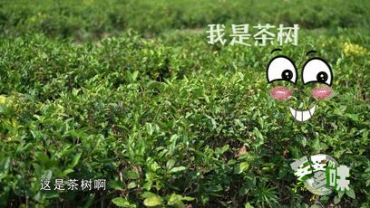 辽宁适合2-3天美食之旅,辽宁省适合吃货旅游的地方