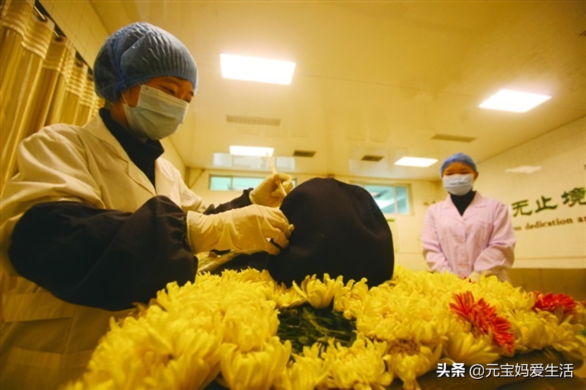 殡仪馆司机需要什么条件,殡仪馆司机的真实感受