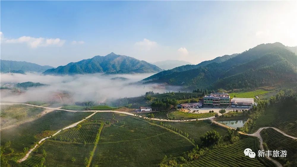 letsgo一周目攻略,letsgo图鉴攻略