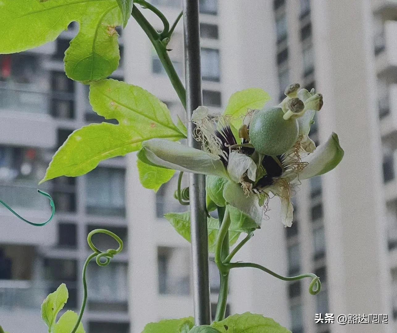 初二如何安排学习时间,初一至初二暑假安排