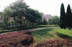 大连最美图书馆,大连少儿图书馆