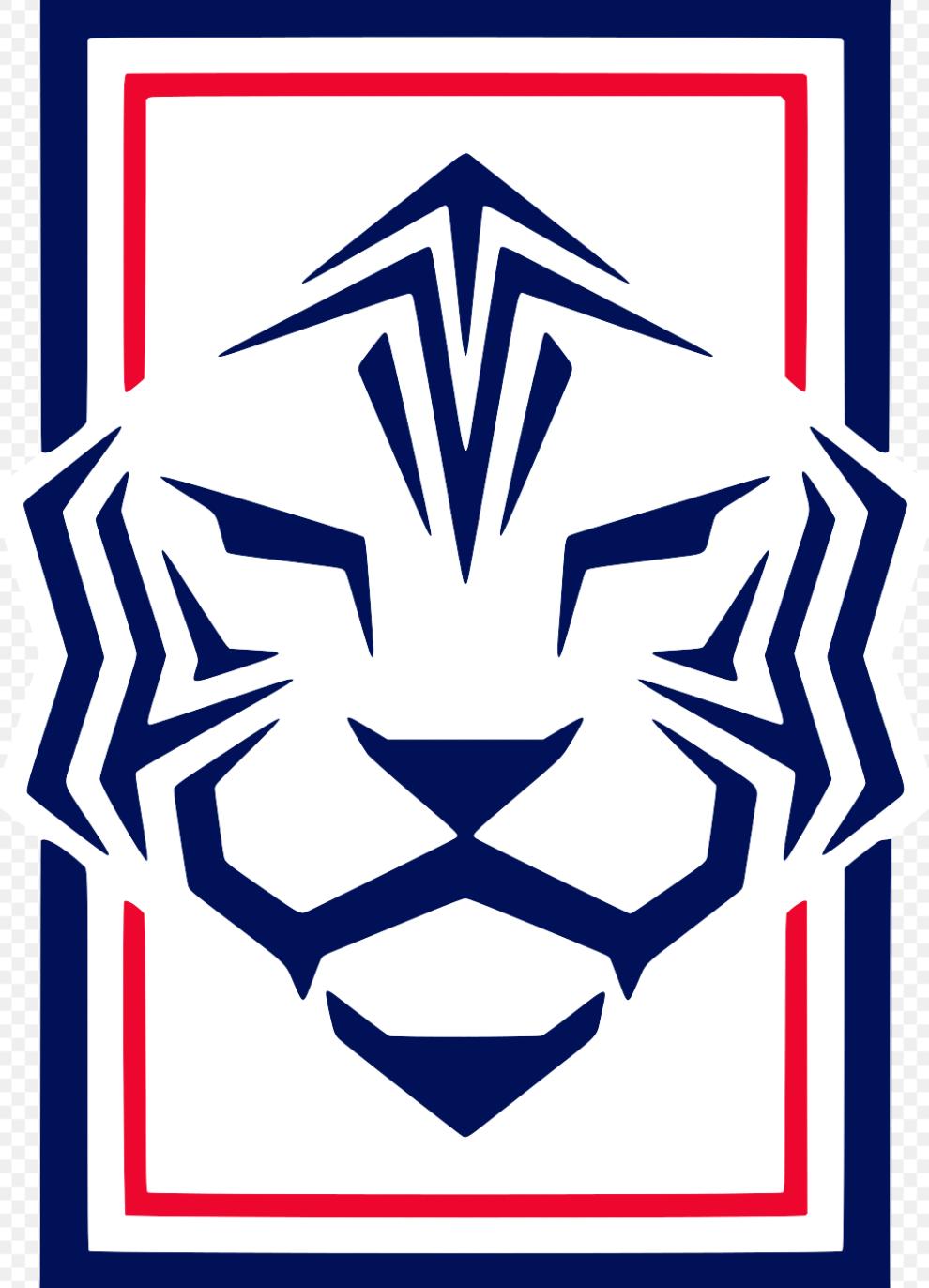 亚洲球队在世界杯的最好成绩,亚洲球队世界杯打进过几次8强