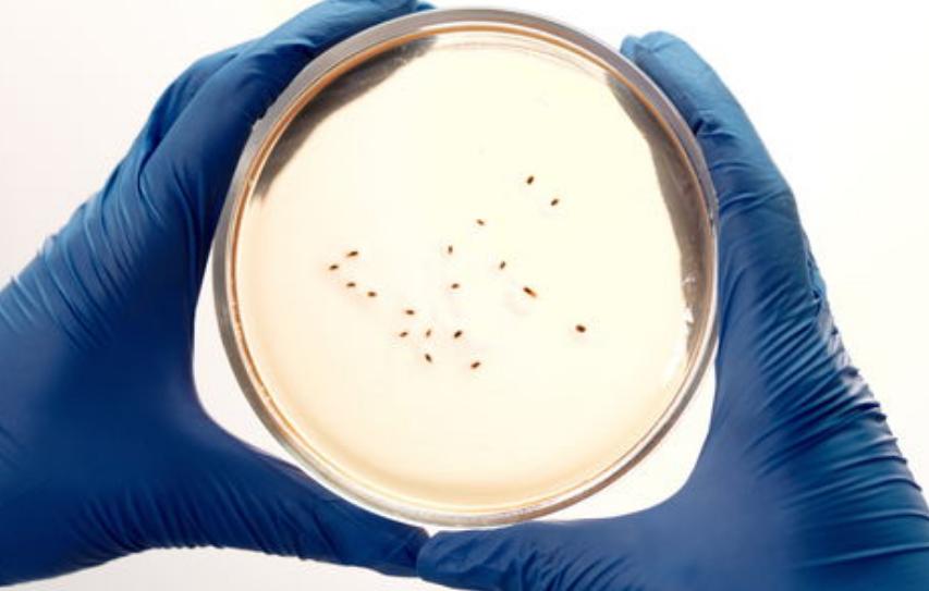 *013院医**教授：少吃点肉吧！太多人因它而受罪，是时候醒悟了