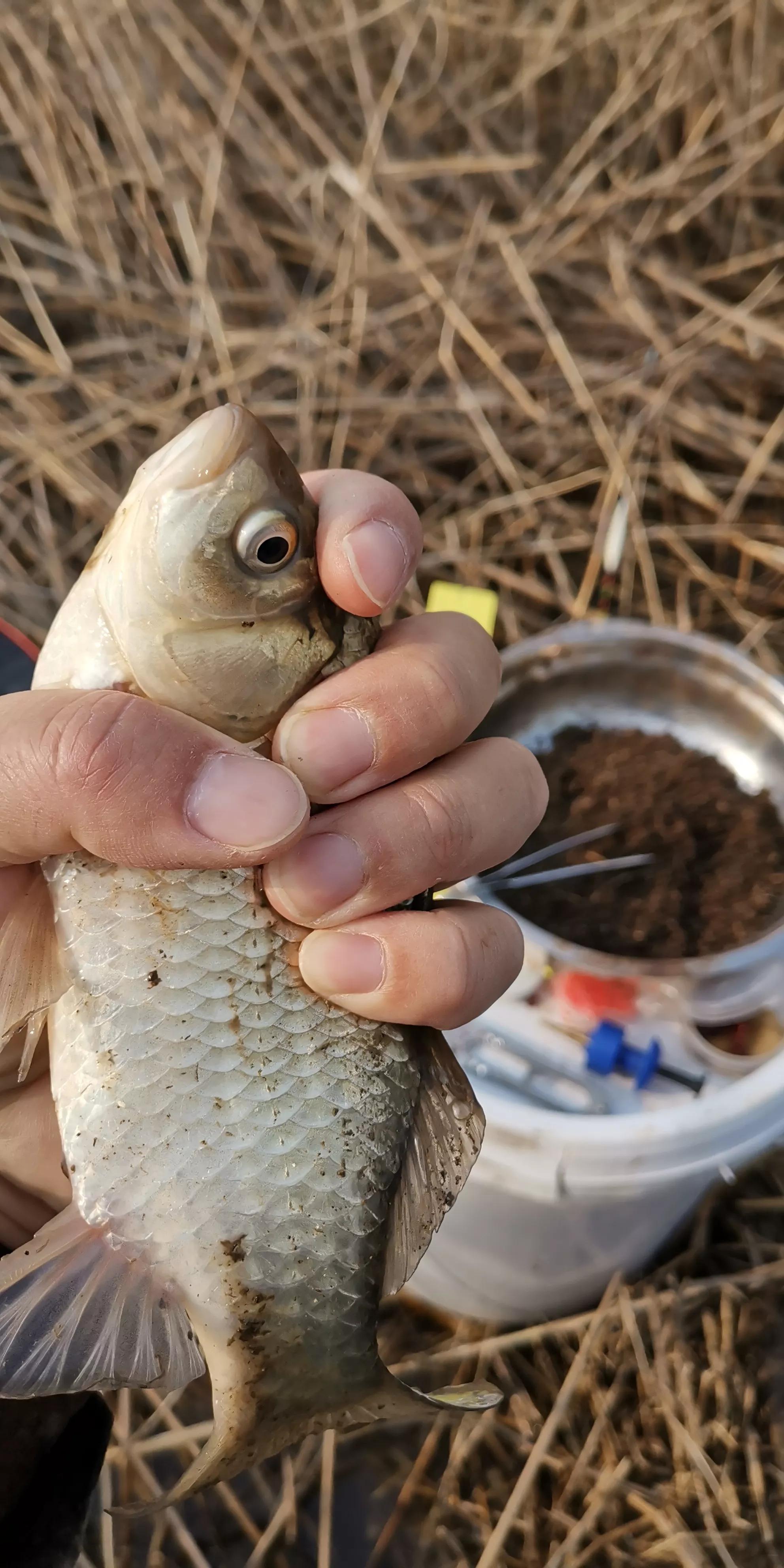 野钓怎么抛竿调漂比较准,钓鱼选钓位天气