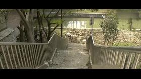 三家店盗窃案最新结果,上海保险柜盗窃案例分析