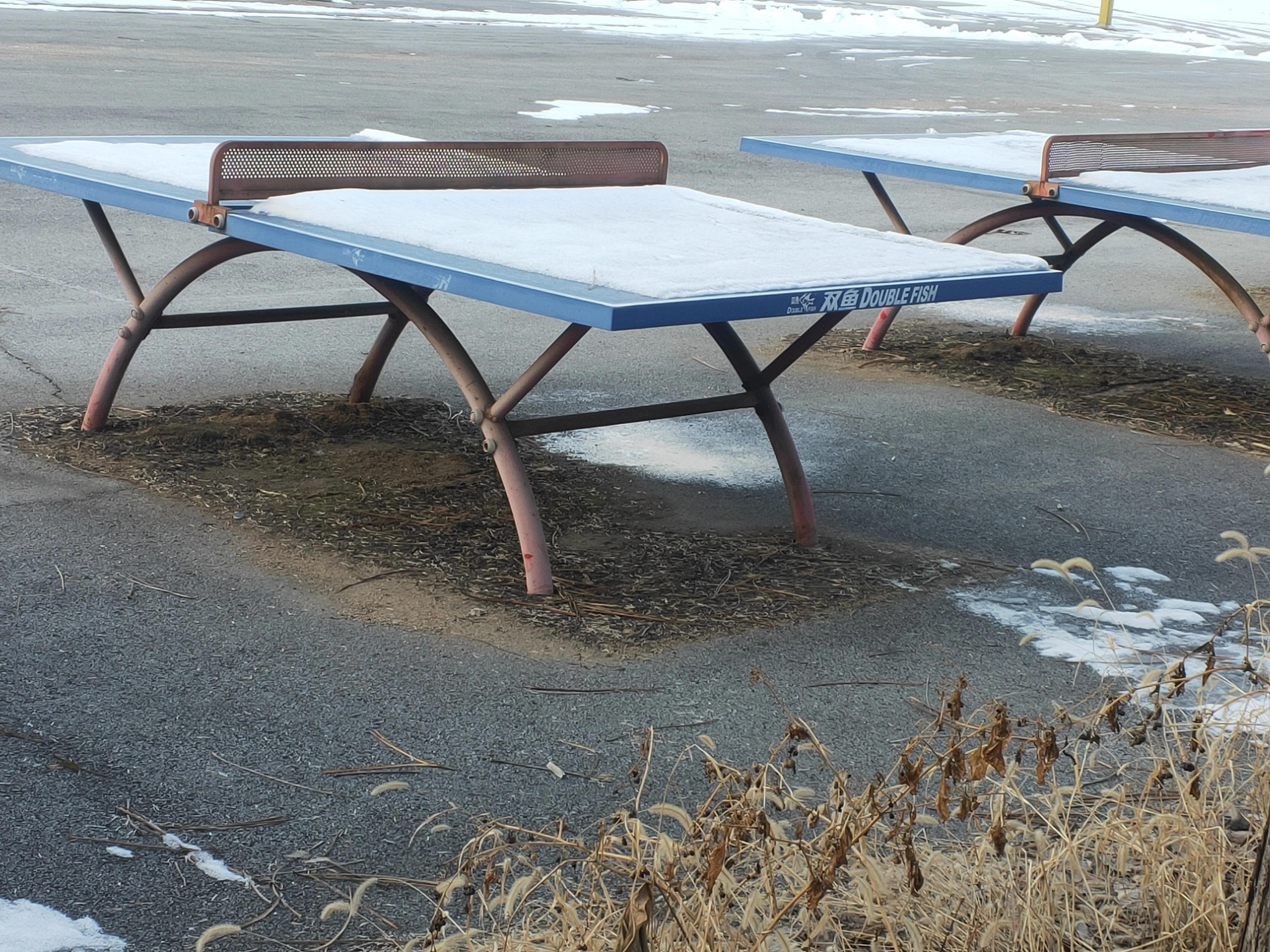 热身服乒乓球,蝴蝶乒乓球衣