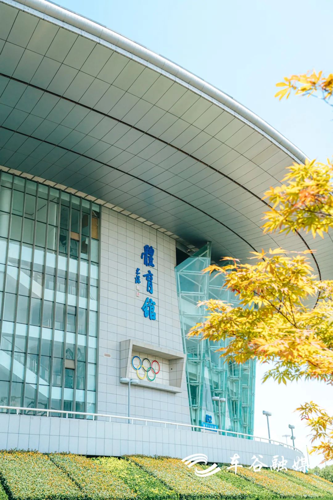 4条路线打开车谷Citywalk，收获N+美图