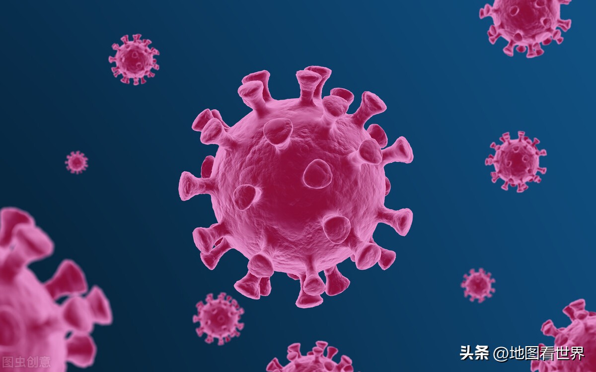 喀麦隆世界杯之旅,喀麦隆是哪届世界杯的黑马