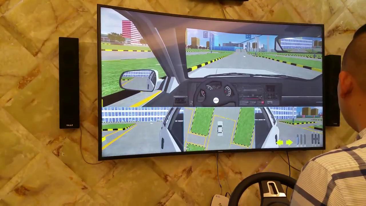 看不准后视镜下沿是否与边线对齐,后视镜与边线对齐车内视角