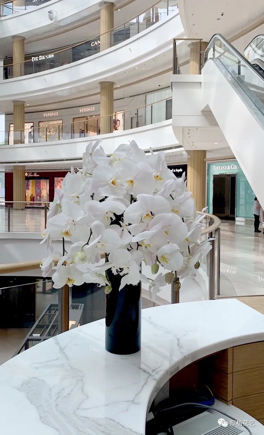 商务前台鲜花,前台花选择