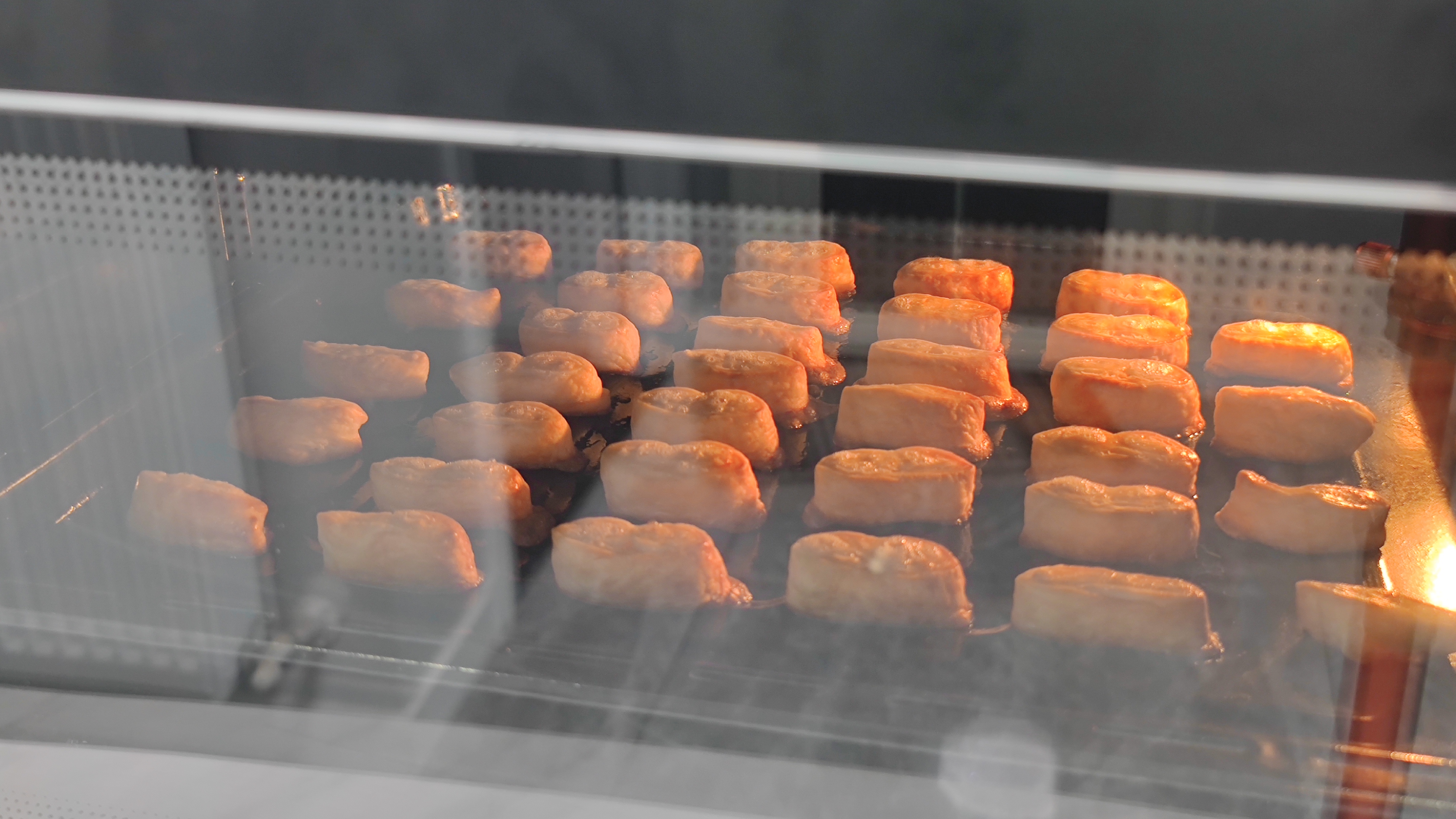 长帝大白鲸烤箱使用方法视频教程,长帝大白鲸哪个烘焙博主用