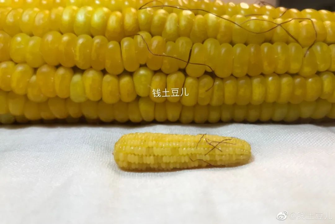 90后妈妈因造假走红,网红辣妈骗局