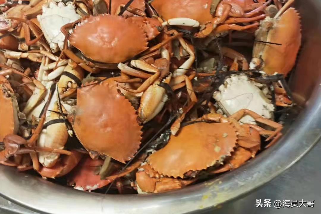 穷透的马达加斯加，游客不敢去的地方，船员却蜂拥而至，目的明确