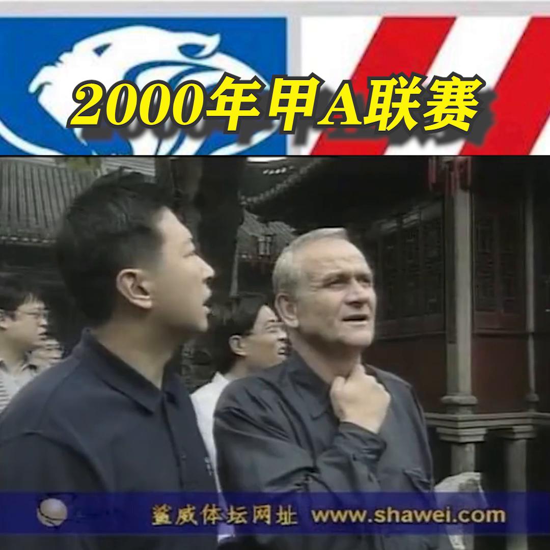 2001赛季甲a联赛申花3:1国安,陕西国力vs上海申花