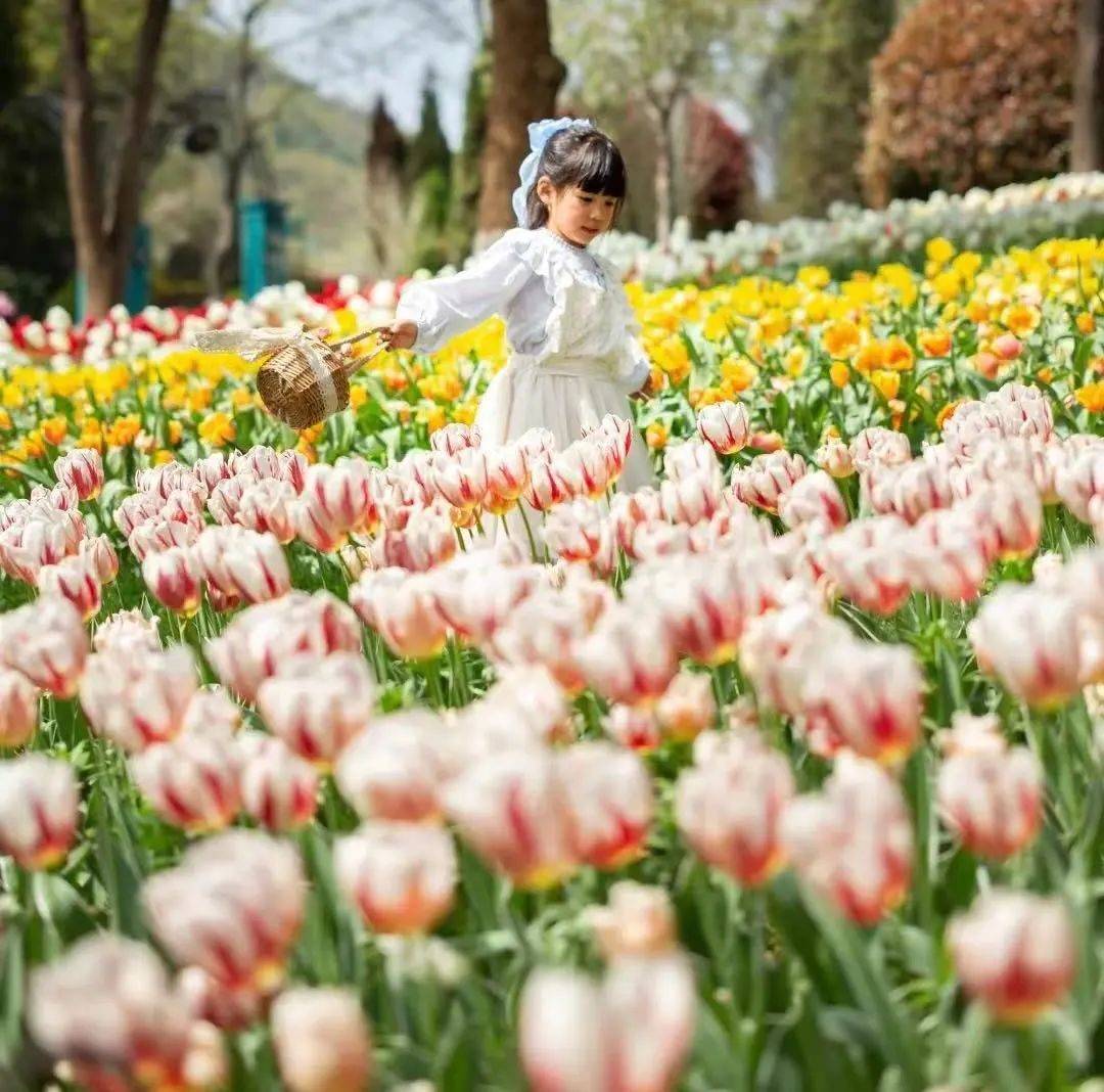 想了一百种关于春天的文案,却不及一场金坛茅山春日野餐露营美好