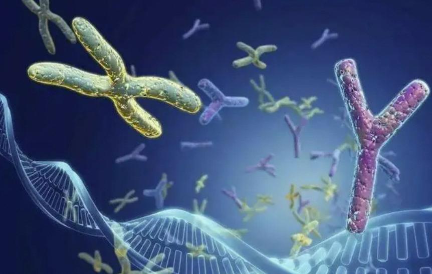 dna证据,dna证据准不准