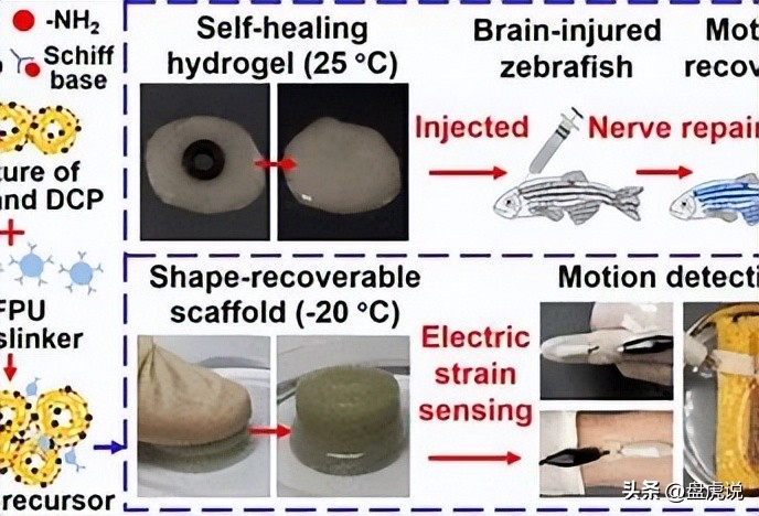 壳聚糖吸附铜离子,壳聚糖水凝胶吸附重金属