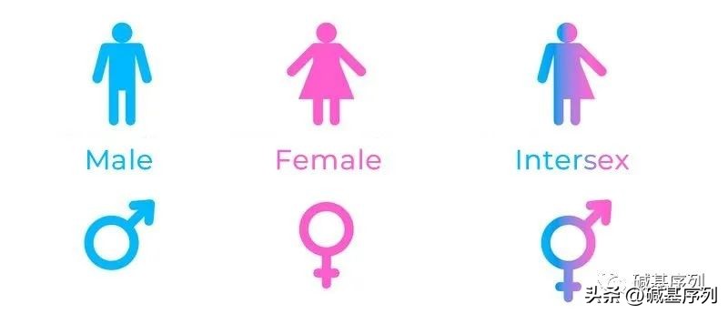 怀孕了第一胎宝宝会知道么,怀孕胎儿外貌什么时候确定