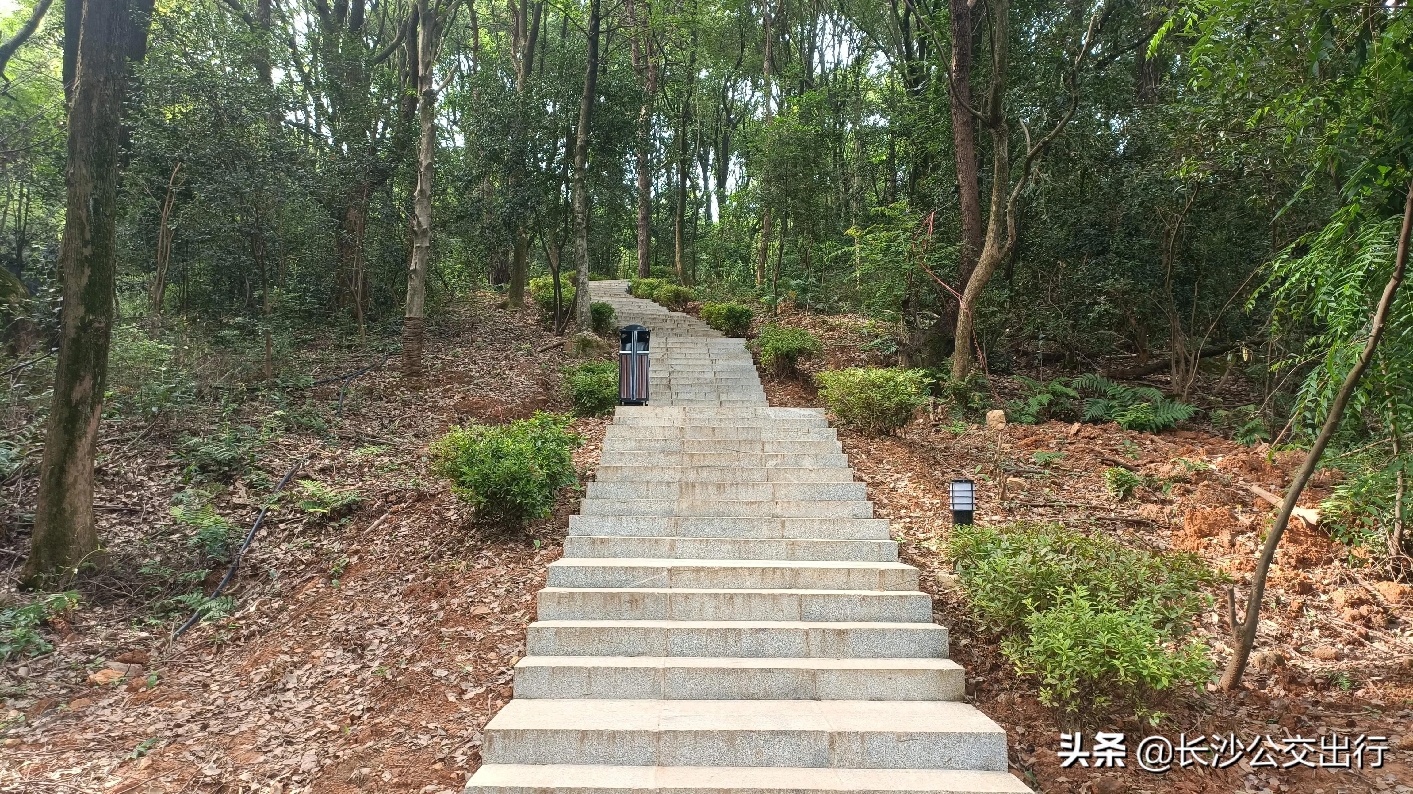 岳麓山从南门爬的攻略,岳麓山东门进南门出旅游攻略